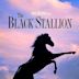 The Black Stallion