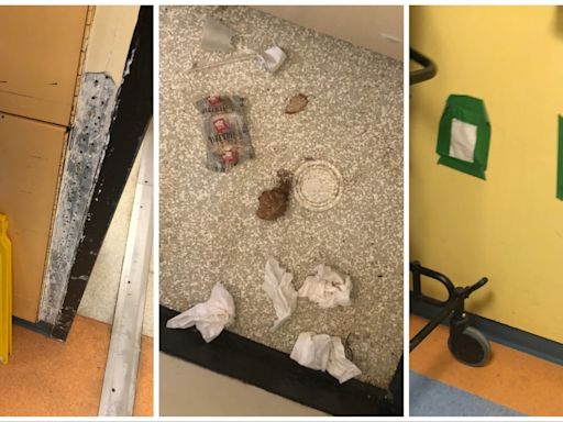 Opposition party tables photos of rodent feces on floors inside Health Sciences Centre