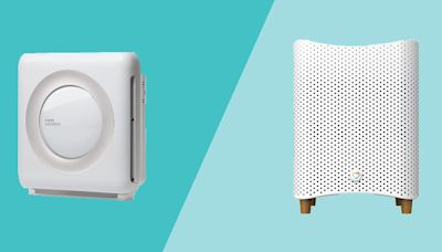 Pet Hair, Mold, and Other Allergens Have Nothing on These Air Purifiers