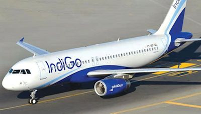 Indigo Now World's Third Largest Airline In Market Cap