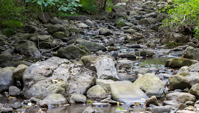 Va. drought conditions continue, spur Shenandoah fishing shutdown - WTOP News