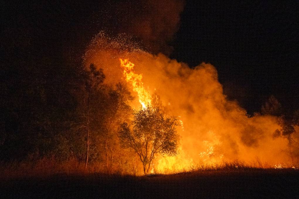 Massive Park Fire Near Chico Destroys 134 Structures As It Burns Out of Control | KQED