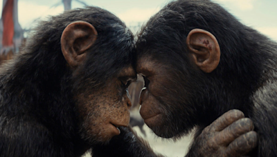 Kingdom Of The Planet Of The Apes Starts Strong, Biggest For 20th Century Since Avatar 2