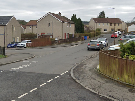 Scots pensioner and dog injured in 'double dog attack' in Falkirk