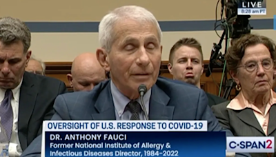 A man sat behind Fauci pulling faces at him in fiery House Covid hearing. But who is he?