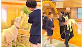 全校僅餘8個學生 今年沒新生入學？日小學破格讓山羊入學有段故