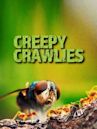 Creepy Crawlies