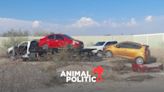 Encuentran cuatro vehículos de conductores por aplicación desaparecidos en Ojinaga, Chihuahua; ellos no han sido localizados