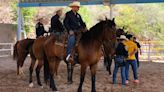 Enseñó Policía Montada su trabajo a niños en Veraneada Impas