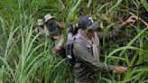 APTOPIX Indonesia Deforestation Female Rangers