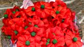 Why do people wear red poppies on Memorial Day, Veterans Day? What do red poppies represent?