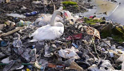 Plastic Overshoot Day: The shocking truth about the waste we produce