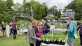 Get ready to garden: Belfast Garden Club’s Annual Plant Sale is Saturday
