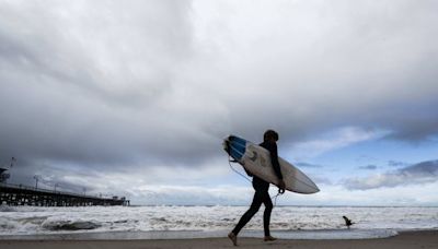 Etats-Unis : Des requins agressifs poussent les autorités de Californie à fermer des plages