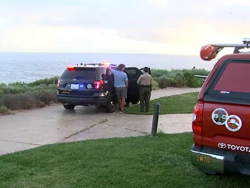 Pilot, dog swim to shore after small plane makes emergency landing in waters off Rancho Palos Verdes
