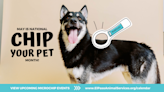 Animal Services emphasizes importance of microchipping pets