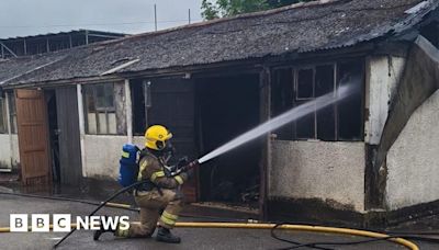 Malmesbury: Horse rescued as fire breaks out near Easton Grey