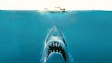 'Tiburón' de Steven Spielberg se hizo realidad y esta mujer vivió para contarlo