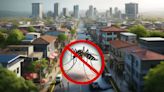 ¿Qué es el dengue y cómo prevenirlo?