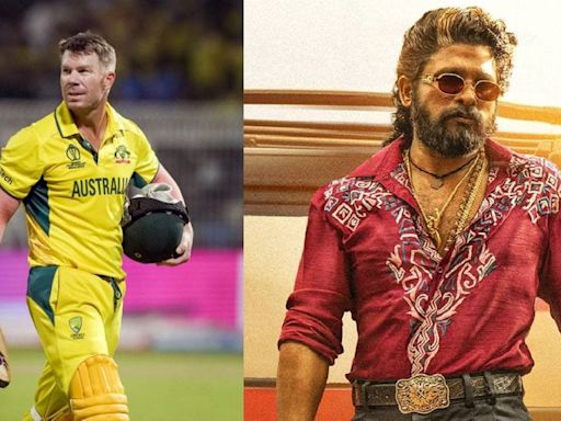 Is David Warner making a cameo appearance in Pushpa 2? What we know so far