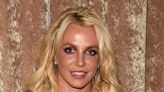 Britney Spears Got an Adorable New Puppy After Her Breakup with Sam Asghari