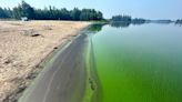 Alberta scientists tracking blue-green algae blooms using satellite imagery