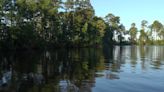 HEART OF LOUISIANA: Caney Lake