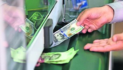 Precio del dólar abre este viernes a la baja en 16.87 pesos al mayoreo