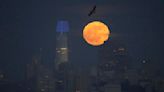 A full 'strawberry moon' will light up the sky Friday night. Here's when to see it