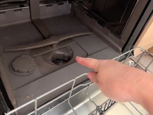I'm a cleaning whizz - my 2p hack to disinfect a dishwasher & stop it smelling