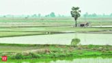 Centre pushes for mandatory floodplain zoning law as only 4 states comply