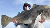 Space Coast fishing: Black drum, tripletail, snook biting after windy start to the week