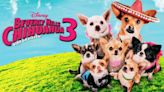 Beverly Hills Chihuahua 3: Where to Watch & Stream Online