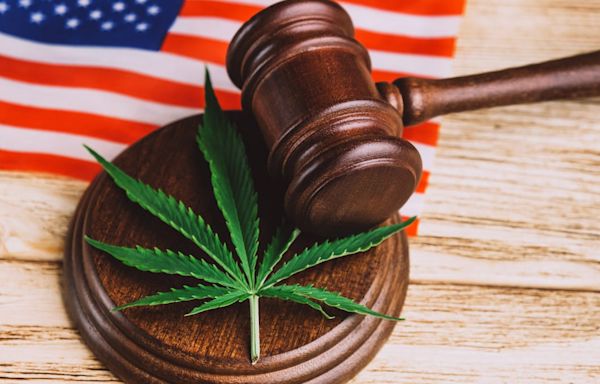 Which States Have Legalized Marijuana for Recreational or Medical Use?