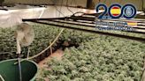 La Policía Nacional desmantela en Jerez y Lebrija dos plantaciones indoor de marihuana