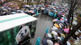 South Koreans bid emotional farewell to beloved panda leaving for China