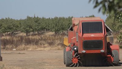 State of the Agriculture Industry: California farmers face uncertainty, diminishing profitability