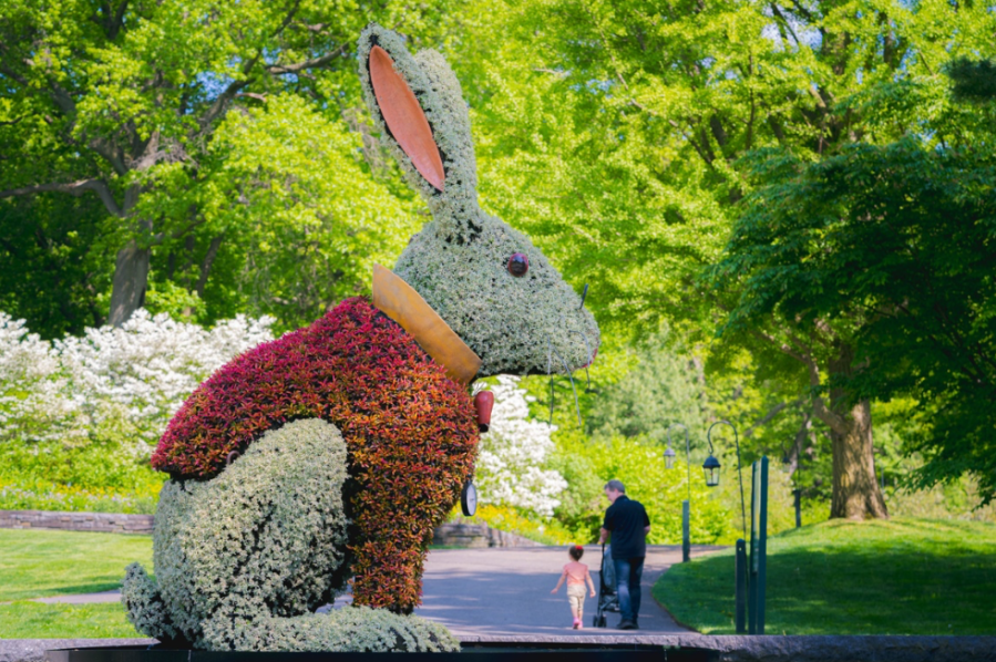 ‘Alice in Wonderland’-themed exhibit to open at New York Botanical Garden