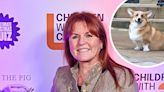 Sarah Ferguson Says Her and Queen Elizabeth's Dogs Get Along Well