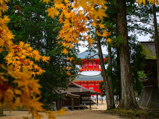 日本黃金週現觀光潮 高野山居民無救護車可用