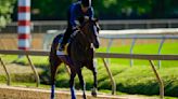 Preakness Horse Racing