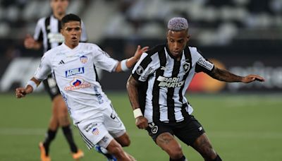 Junior vs. Botafogo, partidazo por el primer puesto del Grupo D de Libertadores