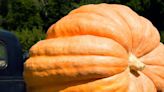 Nebraska Man Claims Record for Longest Journey by Pumpkin Boat