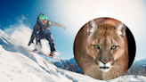 Utah Man Uses Snowboard To Fend Off Mountain Lion Near Ski Resort