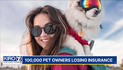 Nationwide Insurance dropping policies for around 100,000 pets