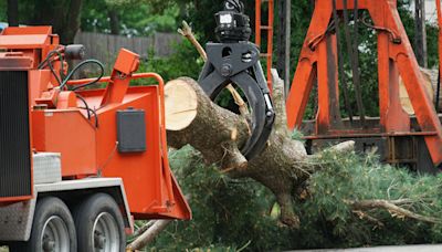 Michigan AG sues tree service companies for alleged price gouging after severe weather