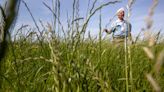 A wetter world is changing farm country. Can growers adapt?