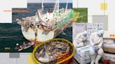 Seafood sold in UK supermarkets may have a dark side - here's why