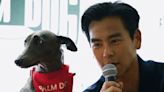 Chinese movie and canine star win Cannes prizes - RTHK