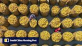 ‘Grain-stealing mouse’ among 5 accused of US$3.45 million corn theft in China